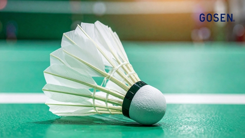 đặt sân cầu lông